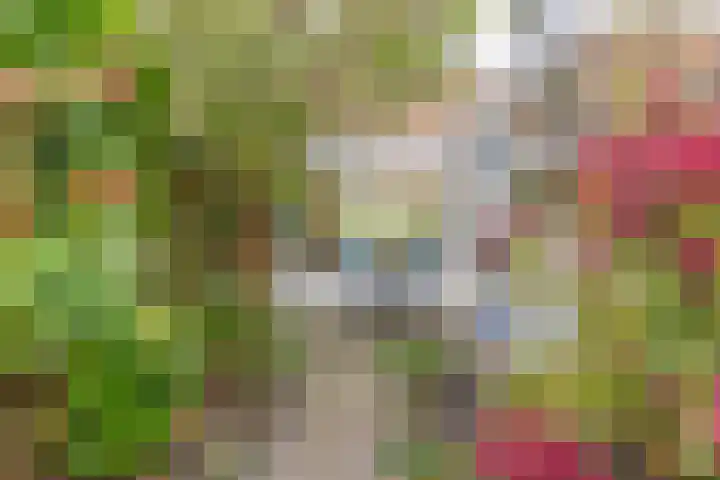 Lindenlaan 52 Schagen thumbnail 31