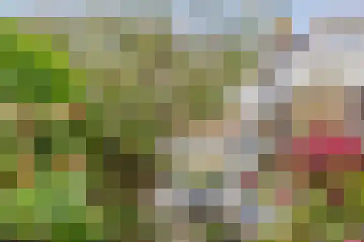 Lindenlaan 52 Schagen thumbnail 32