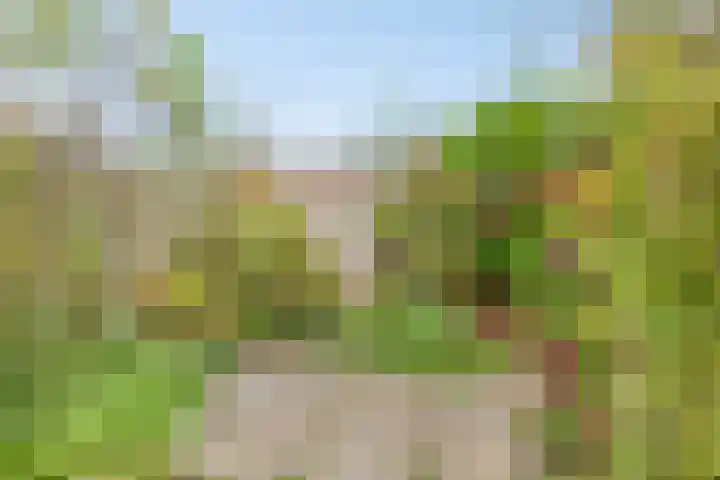 Lindenlaan 52 Schagen thumbnail 33