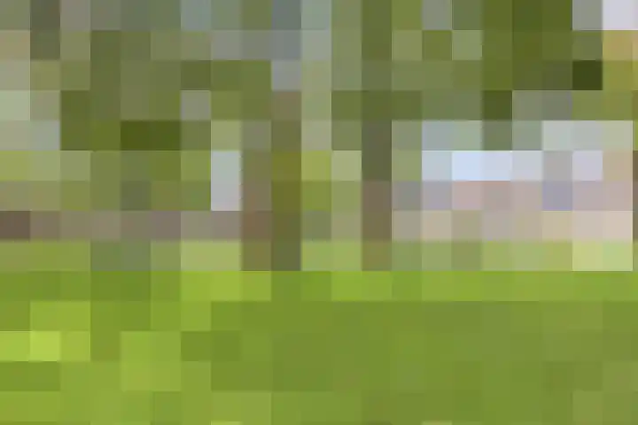 Lindenlaan 52 Schagen thumbnail 35