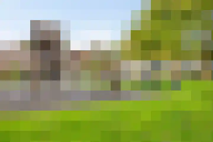 Lindenlaan 52 Schagen thumbnail 37