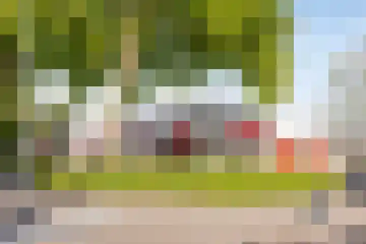 Lindenlaan 52 Schagen thumbnail 38
