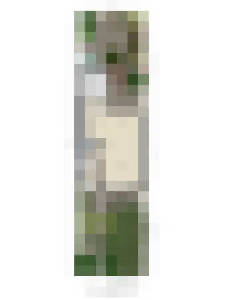 Lindenlaan 52 Schagen thumbnail 40