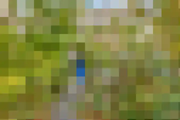 Lindenlaan 52 Schagen thumbnail 6