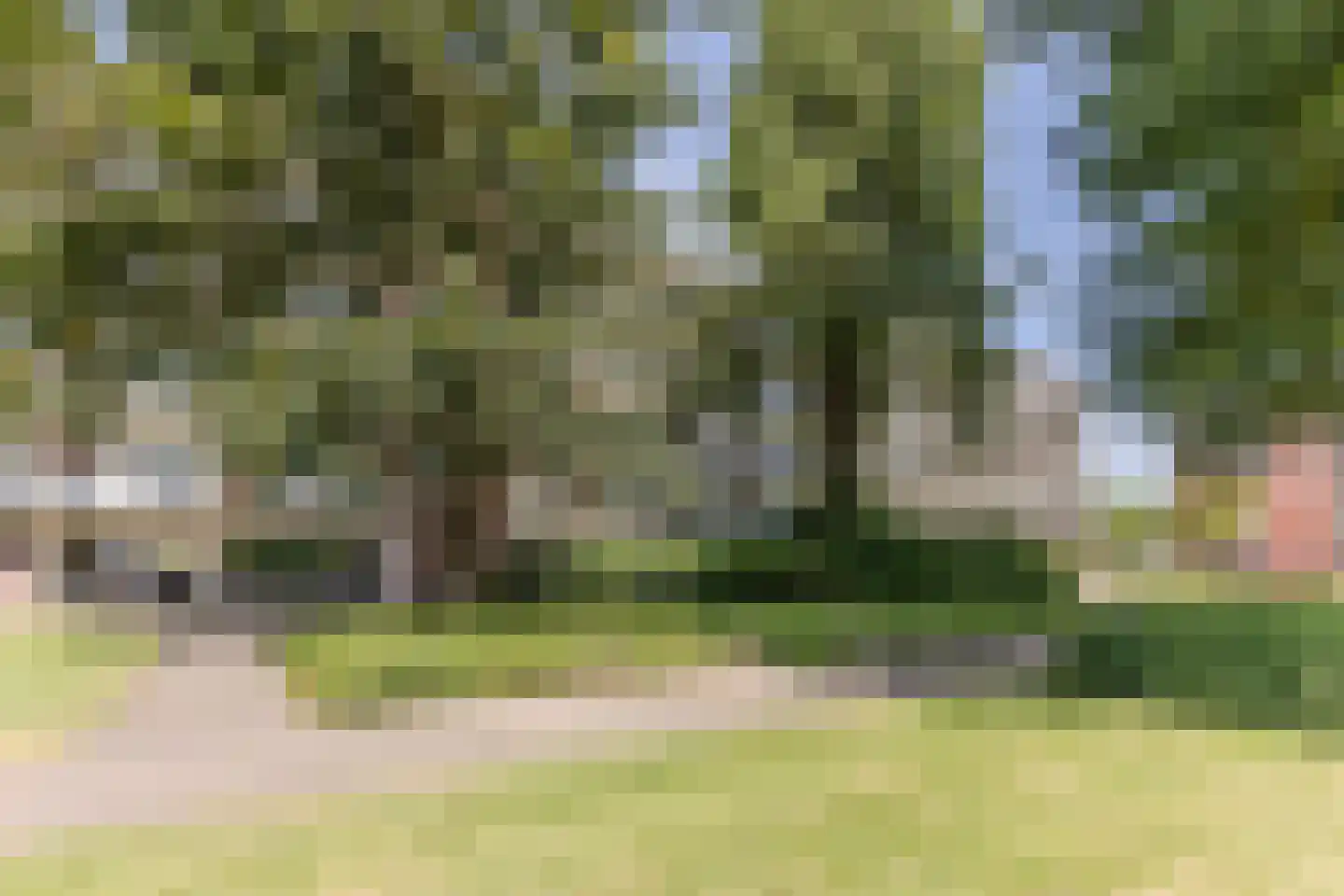 Lindenlaan 523 Amstelveen thumbnail 22