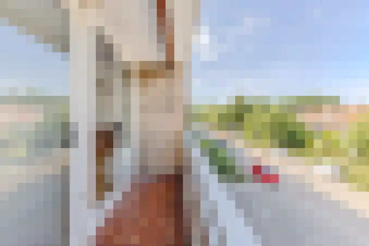Lindenlaan 523 Amstelveen thumbnail 9