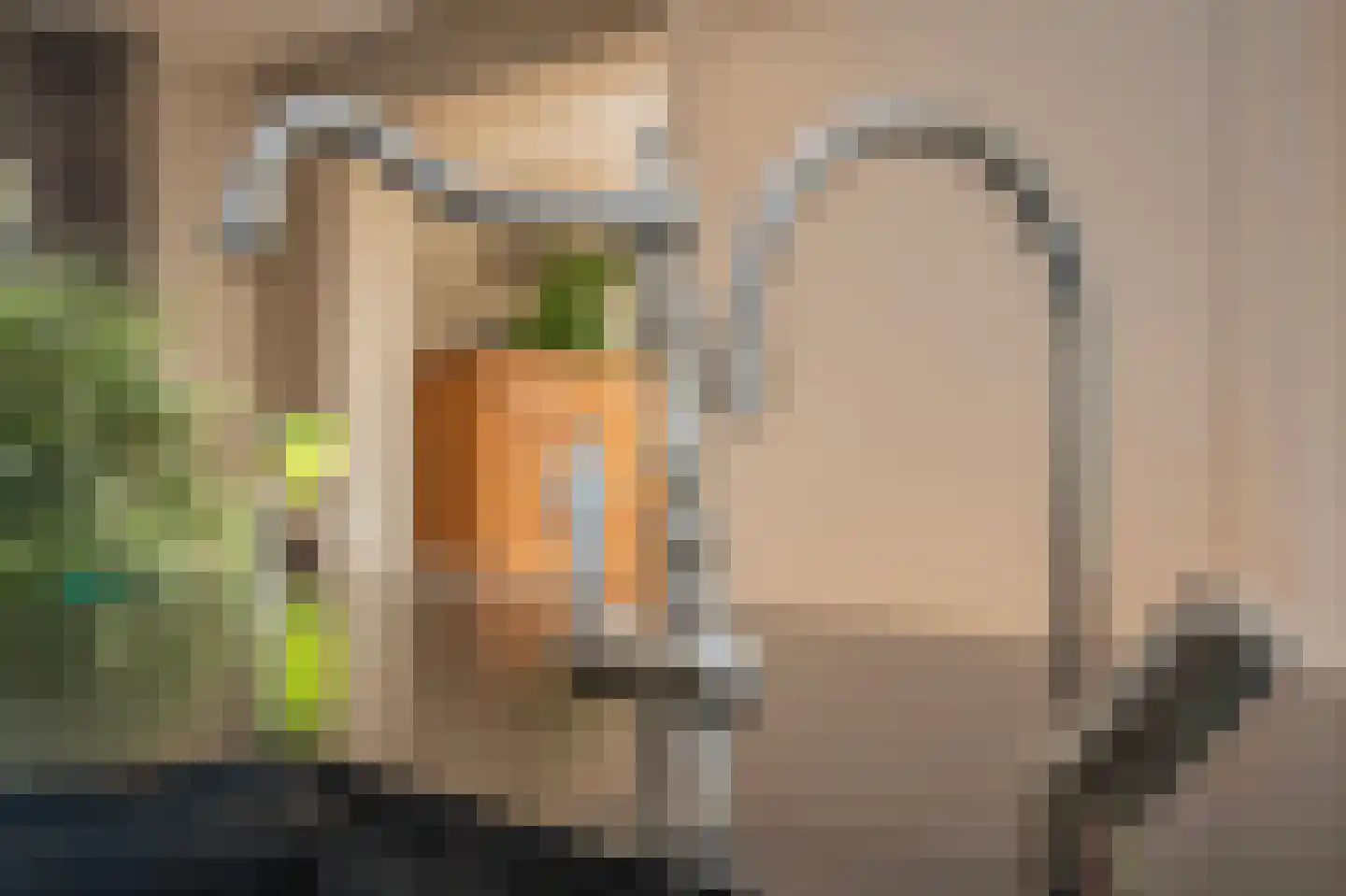 Lindenlaan 53 Scherpenzeel thumbnail 18