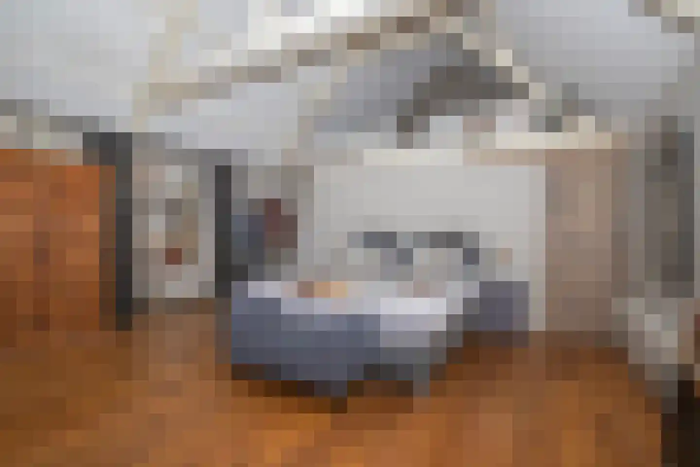 Lindenlaan 53 Scherpenzeel thumbnail 21
