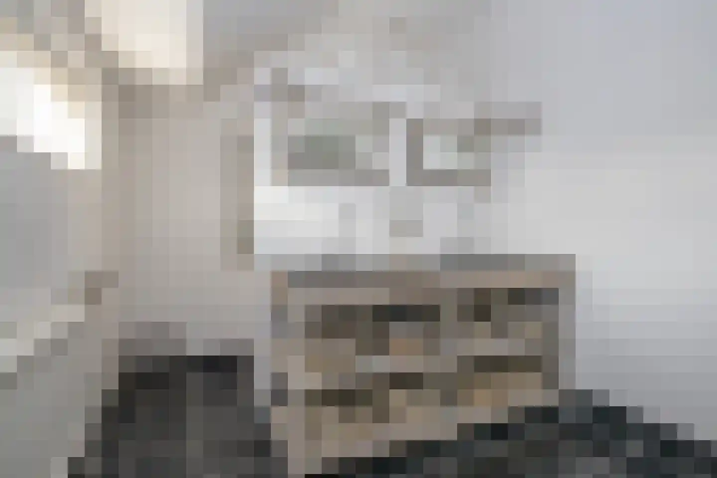 Lindenlaan 53 Scherpenzeel thumbnail 26