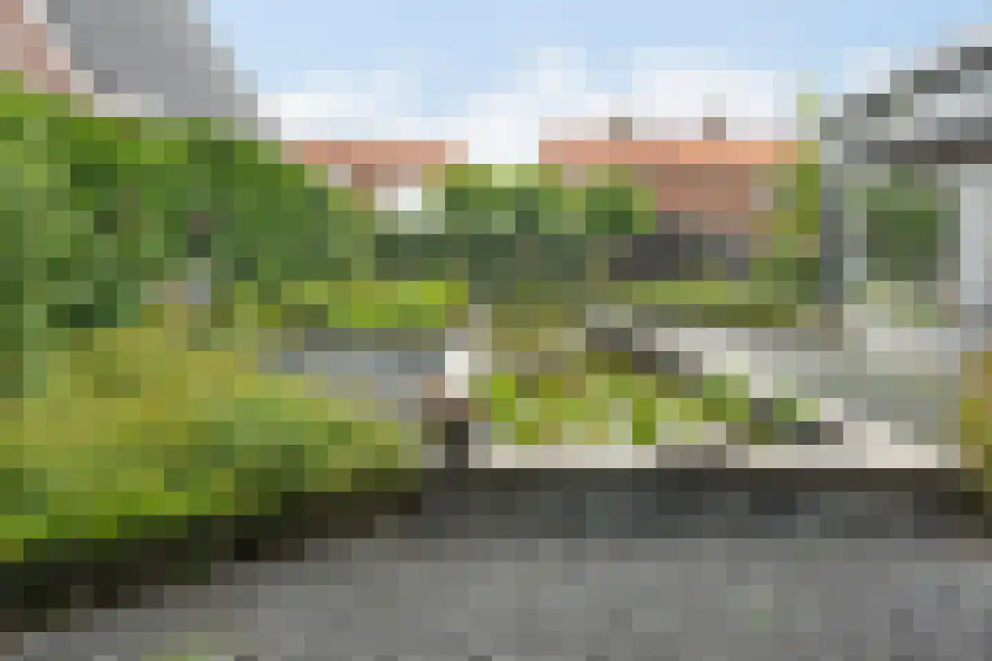 Lindenlaan 53 Scherpenzeel thumbnail 40