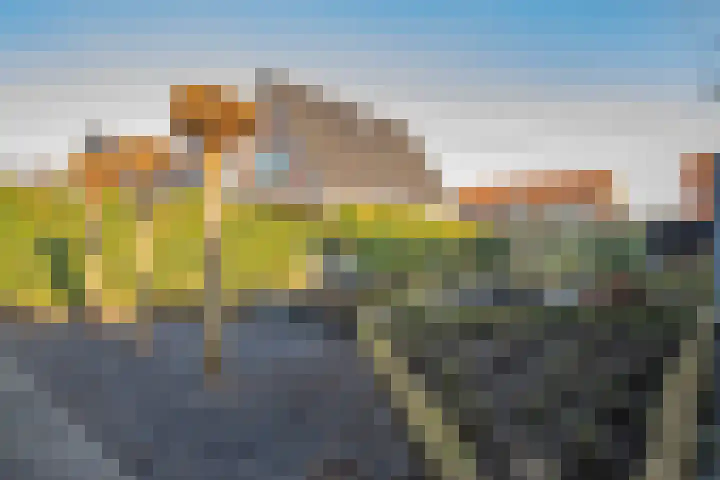 Lindenlaan 53 Scherpenzeel thumbnail 41