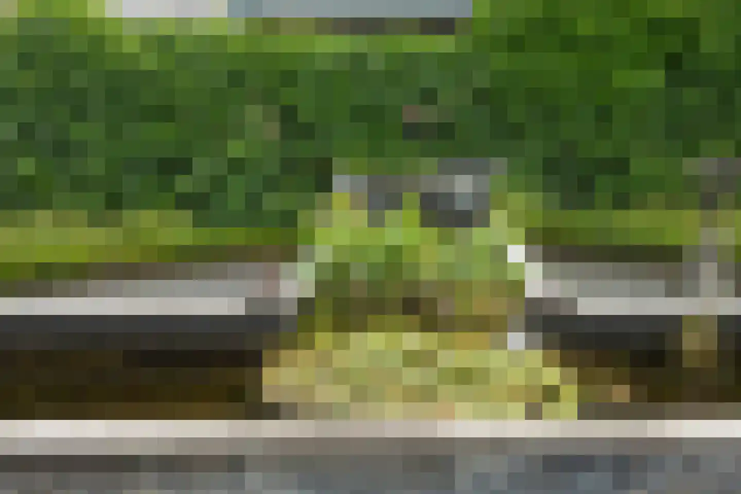Lindenlaan 53 Scherpenzeel thumbnail 41