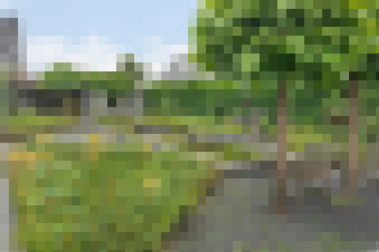 Lindenlaan 53 Scherpenzeel thumbnail 42