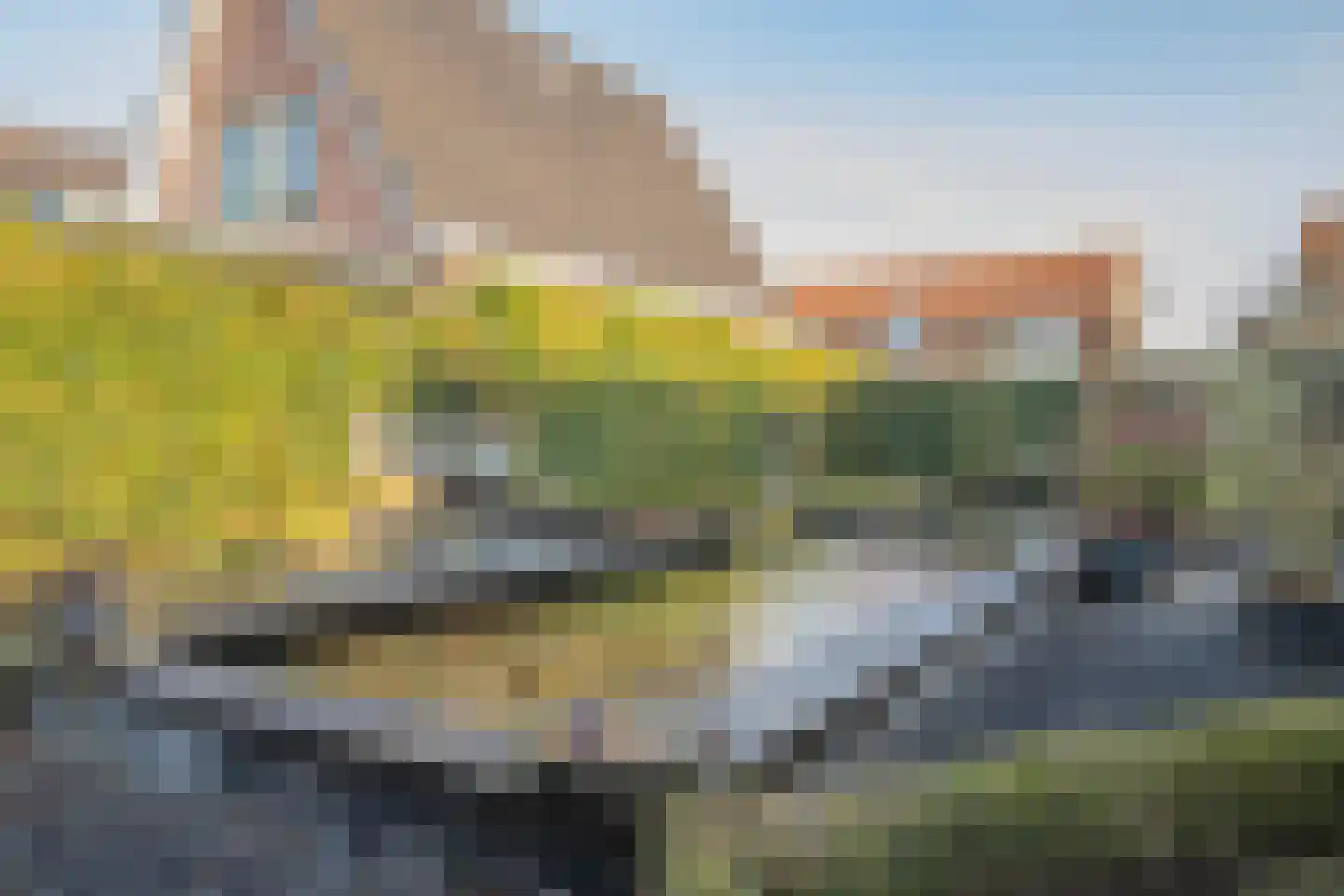 Lindenlaan 53 Scherpenzeel thumbnail 43
