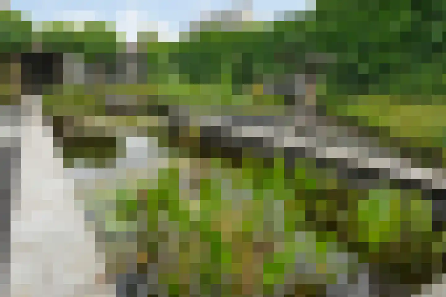 Lindenlaan 53 Scherpenzeel thumbnail 43