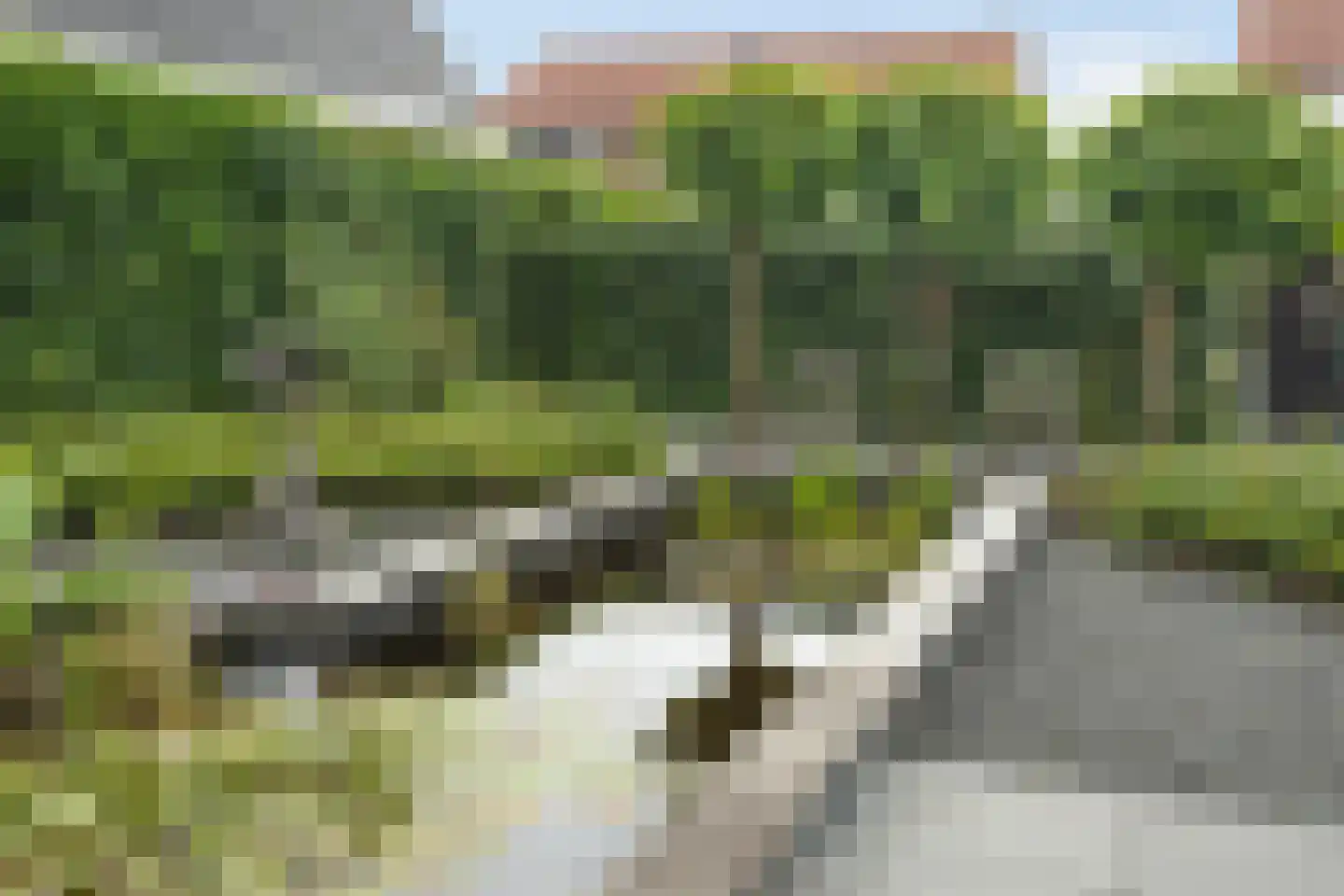 Lindenlaan 53 Scherpenzeel thumbnail 44