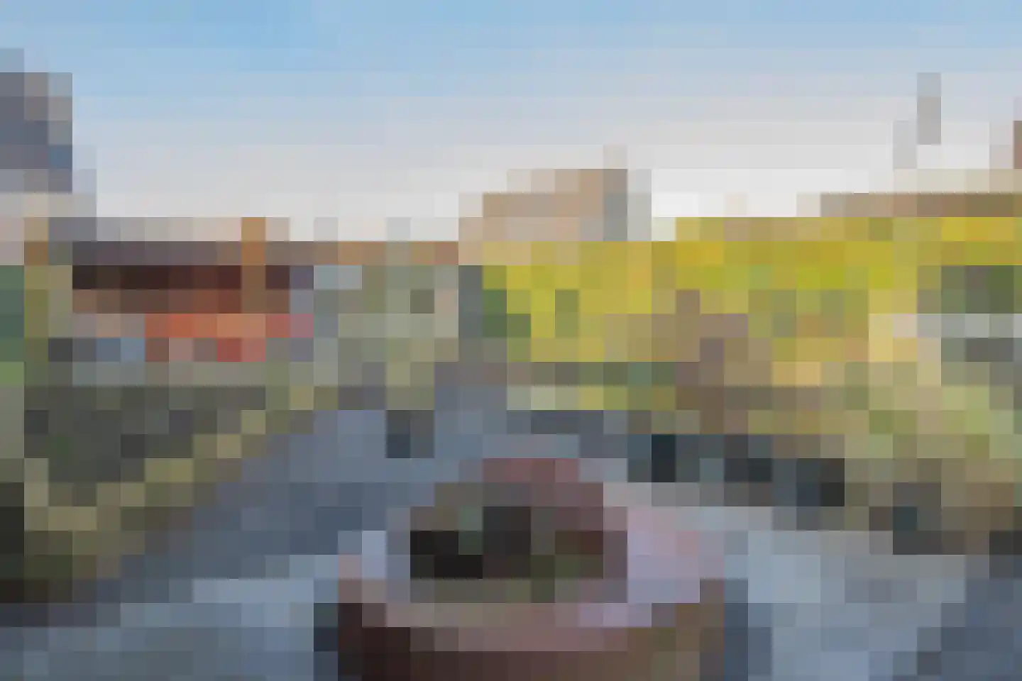 Lindenlaan 53 Scherpenzeel thumbnail 45