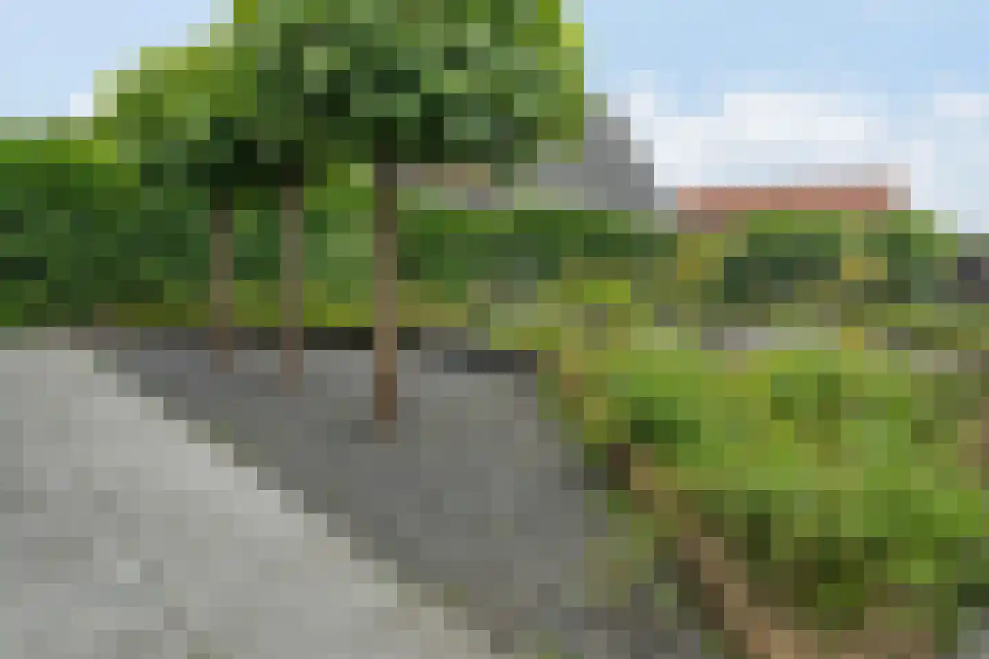 Lindenlaan 53 Scherpenzeel thumbnail 48