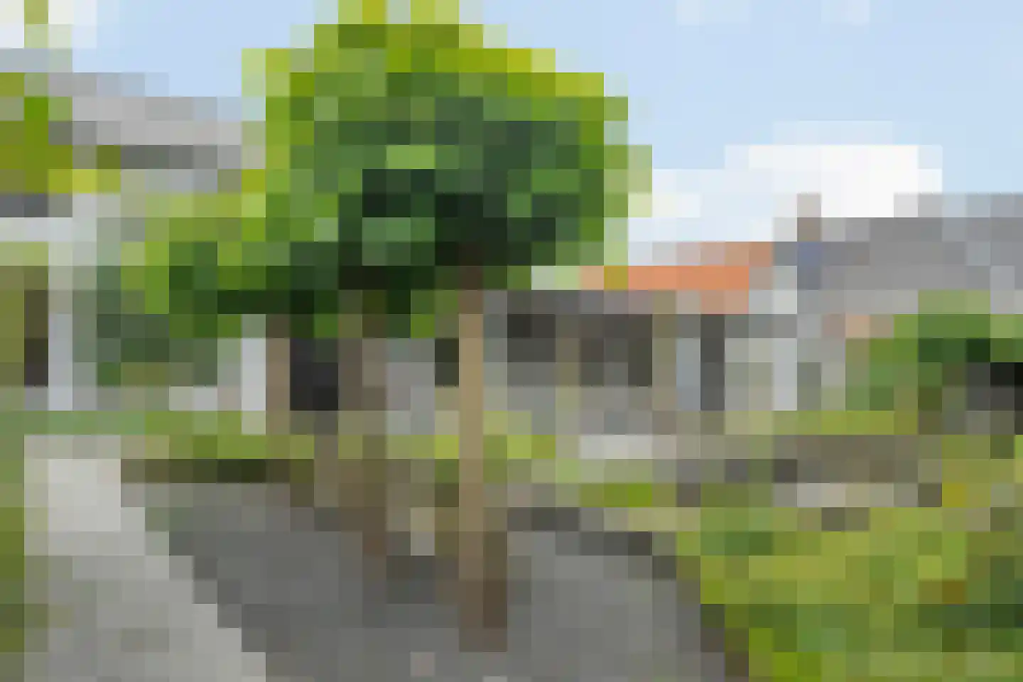 Lindenlaan 53 Scherpenzeel thumbnail 5