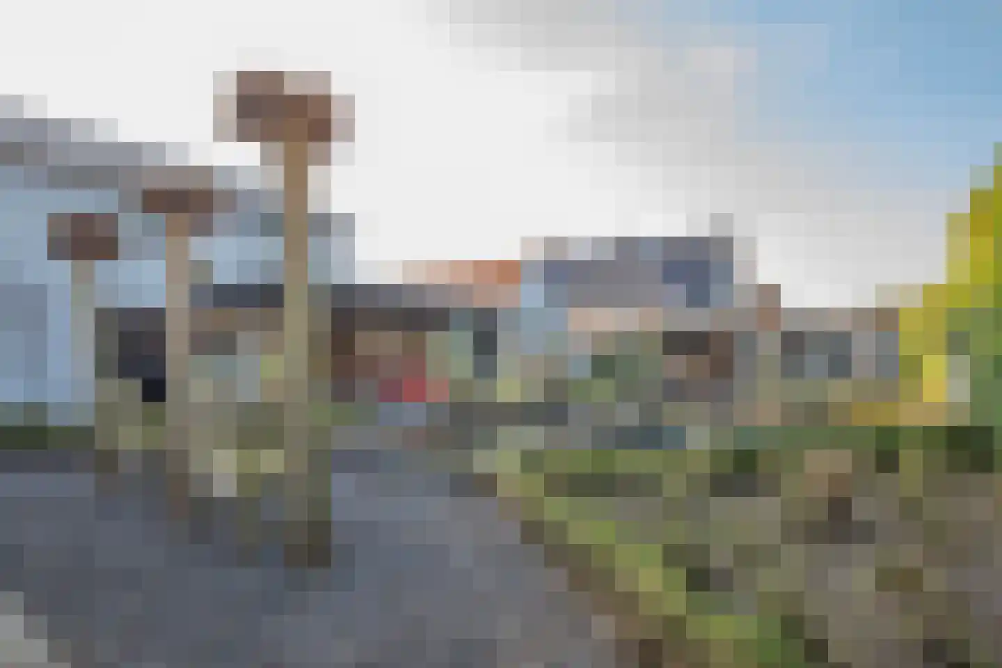 Lindenlaan 53 Scherpenzeel thumbnail 5