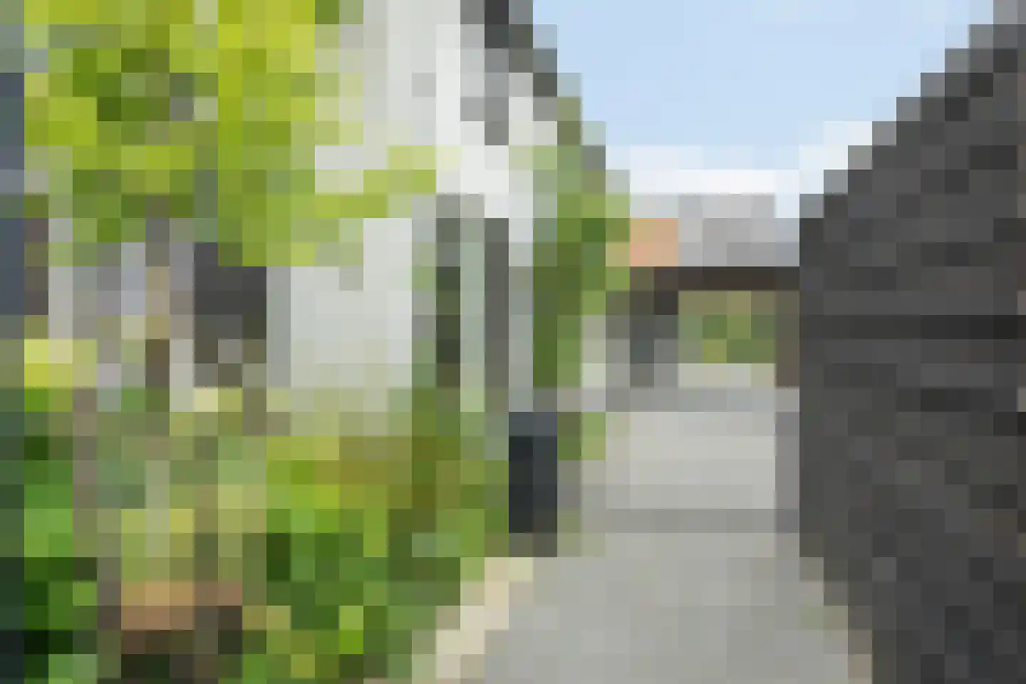Lindenlaan 53 Scherpenzeel thumbnail 7