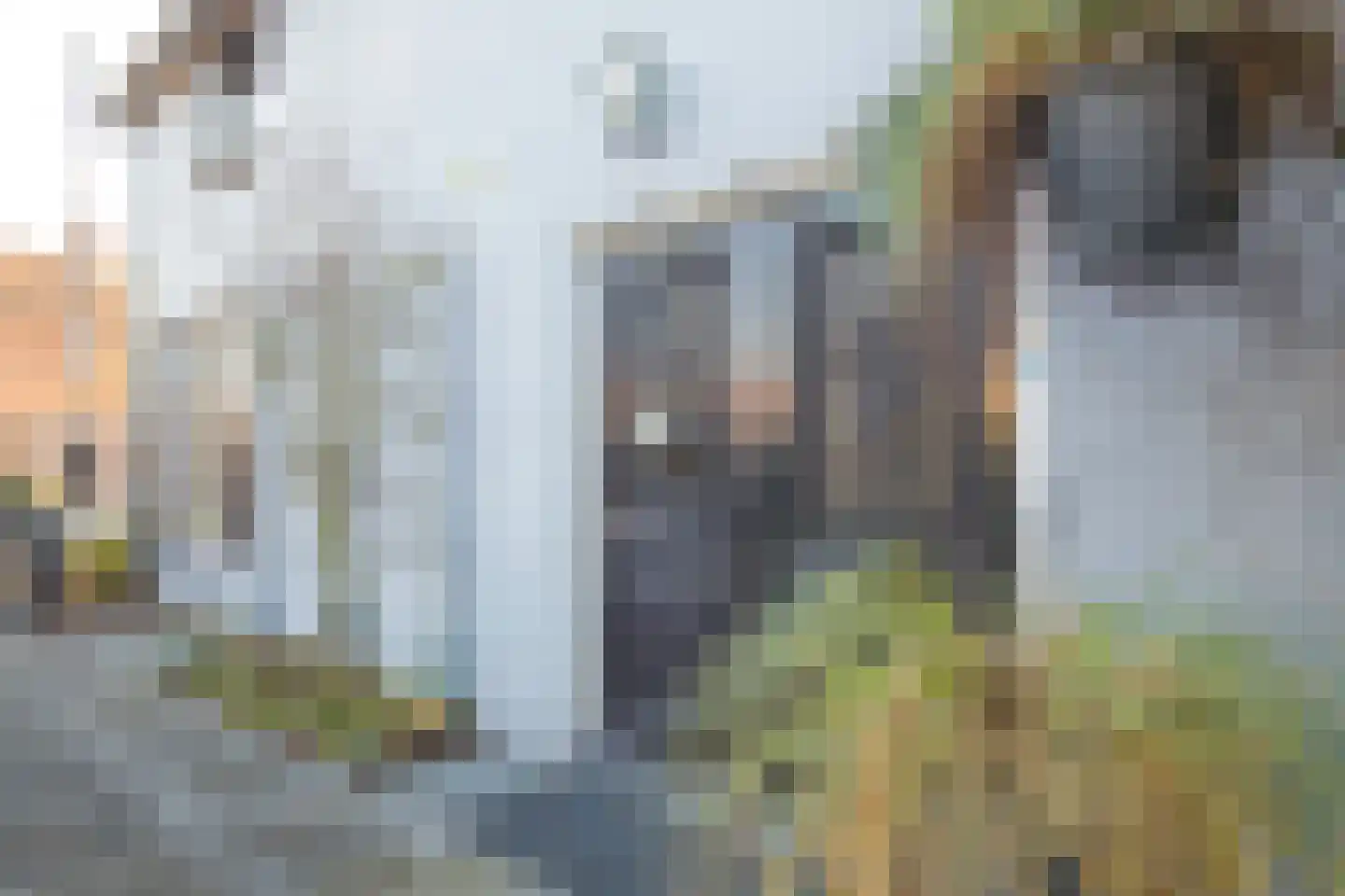Lindenlaan 53 Scherpenzeel thumbnail 8