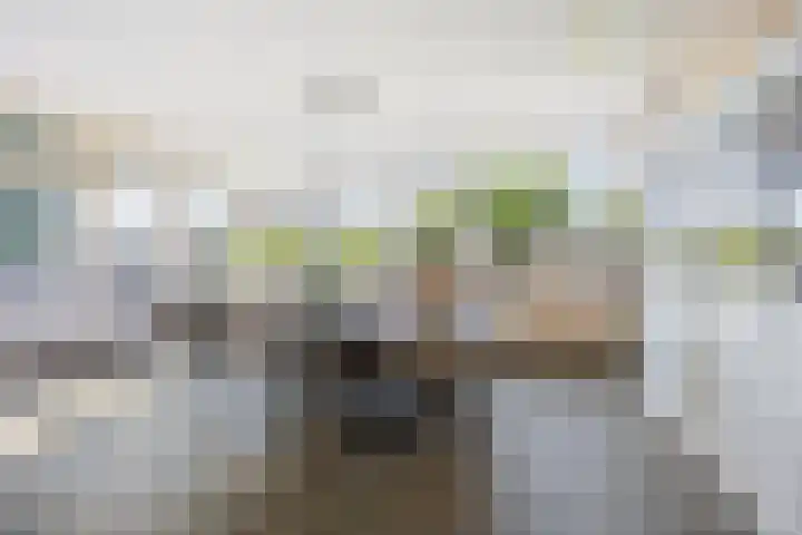 Lindenlaan 55 Molenhoek thumbnail 17