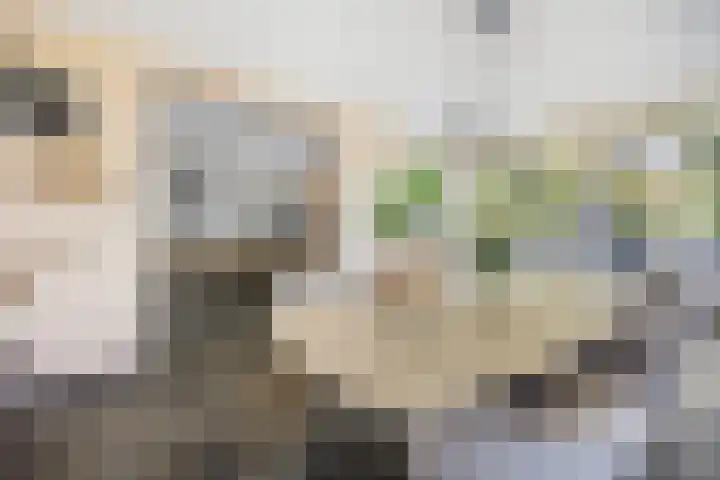 Lindenlaan 55 Molenhoek thumbnail 21