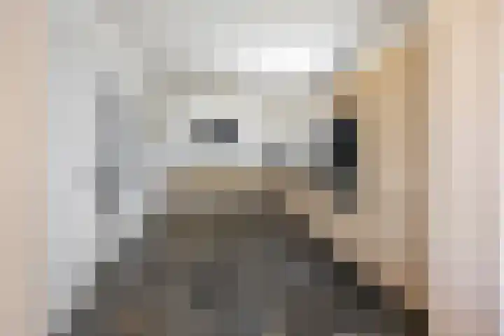 Lindenlaan 55 Molenhoek thumbnail 22