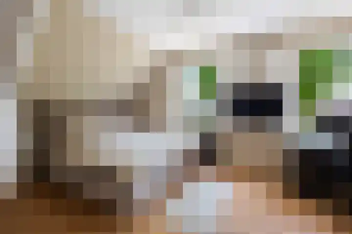 Lindenlaan 55 Molenhoek thumbnail 27