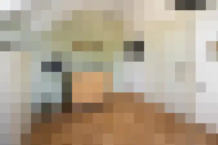 Lindenlaan 55 Molenhoek thumbnail 31