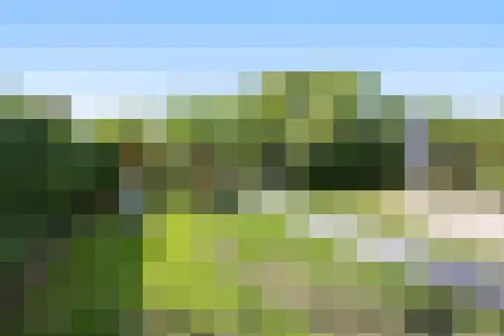 Lindenlaan 55 Molenhoek thumbnail 4