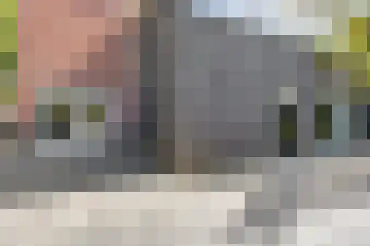 Lindenlaan 55 Molenhoek thumbnail 54