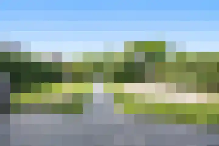 Lindenlaan 55 Molenhoek thumbnail 55