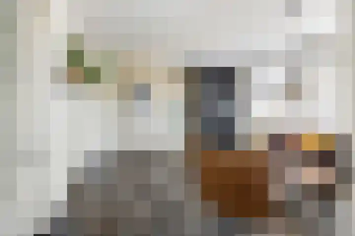 Lindenlaan 55 Molenhoek thumbnail 6