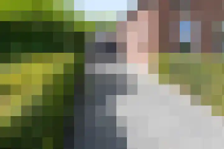 Lindenlaan 55 Molenhoek thumbnail 64