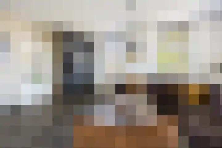 Lindenlaan 55 Molenhoek thumbnail 7