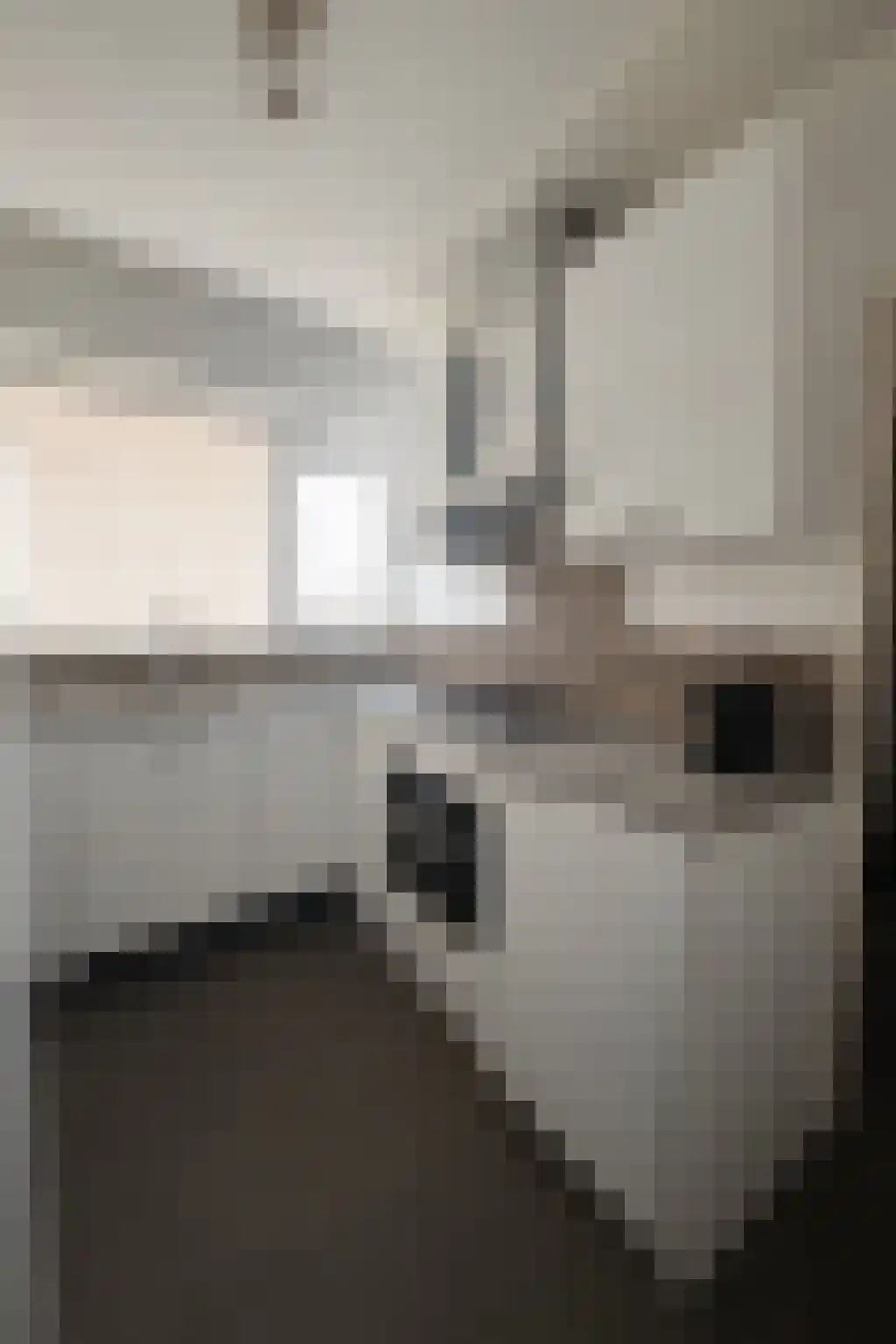 Lindenlaan 559 Amstelveen thumbnail 10
