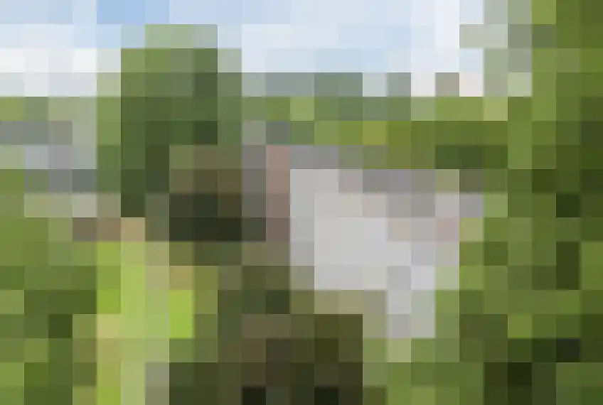 Lindenlaan 559 Amstelveen thumbnail 17