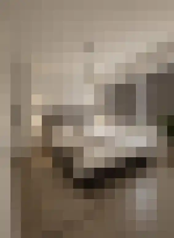 Lindenlaan 559 Amstelveen thumbnail 4