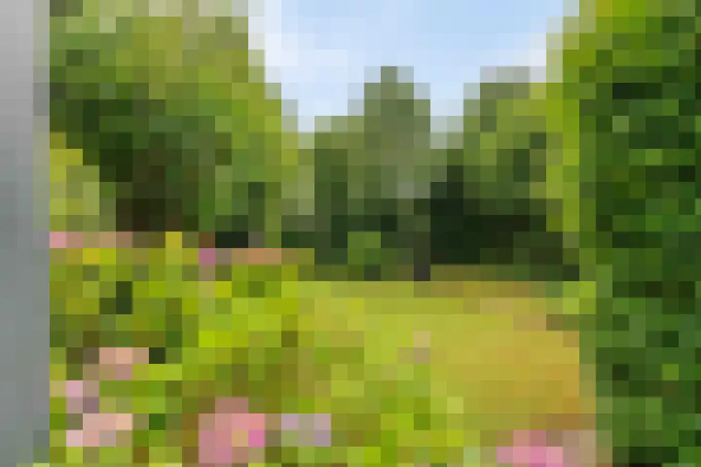 Lindenlaan 56 Bunde thumbnail 12