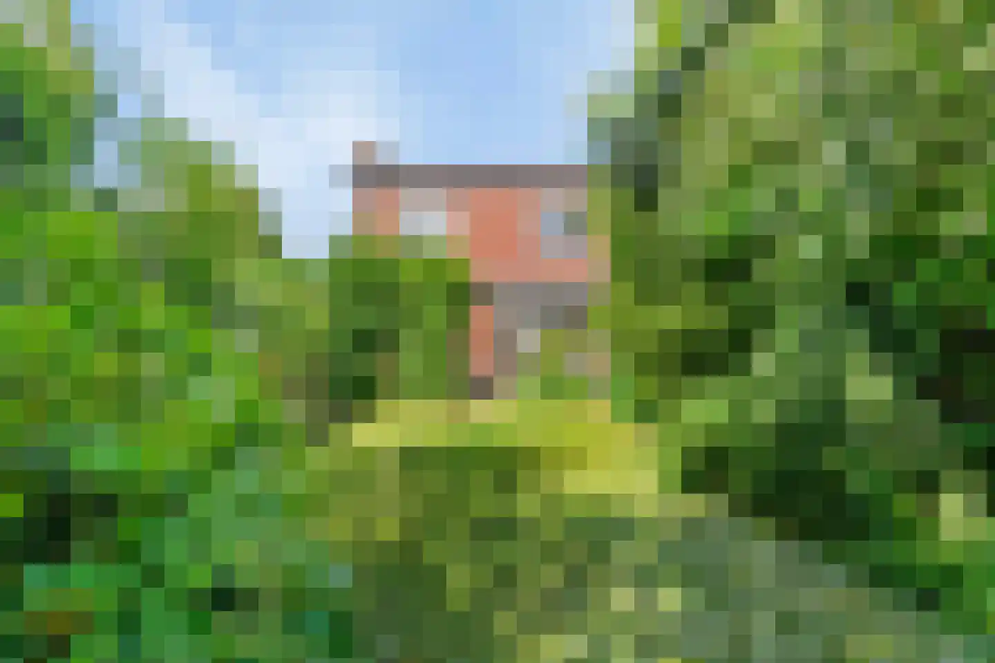 Lindenlaan 56 Bunde thumbnail 13