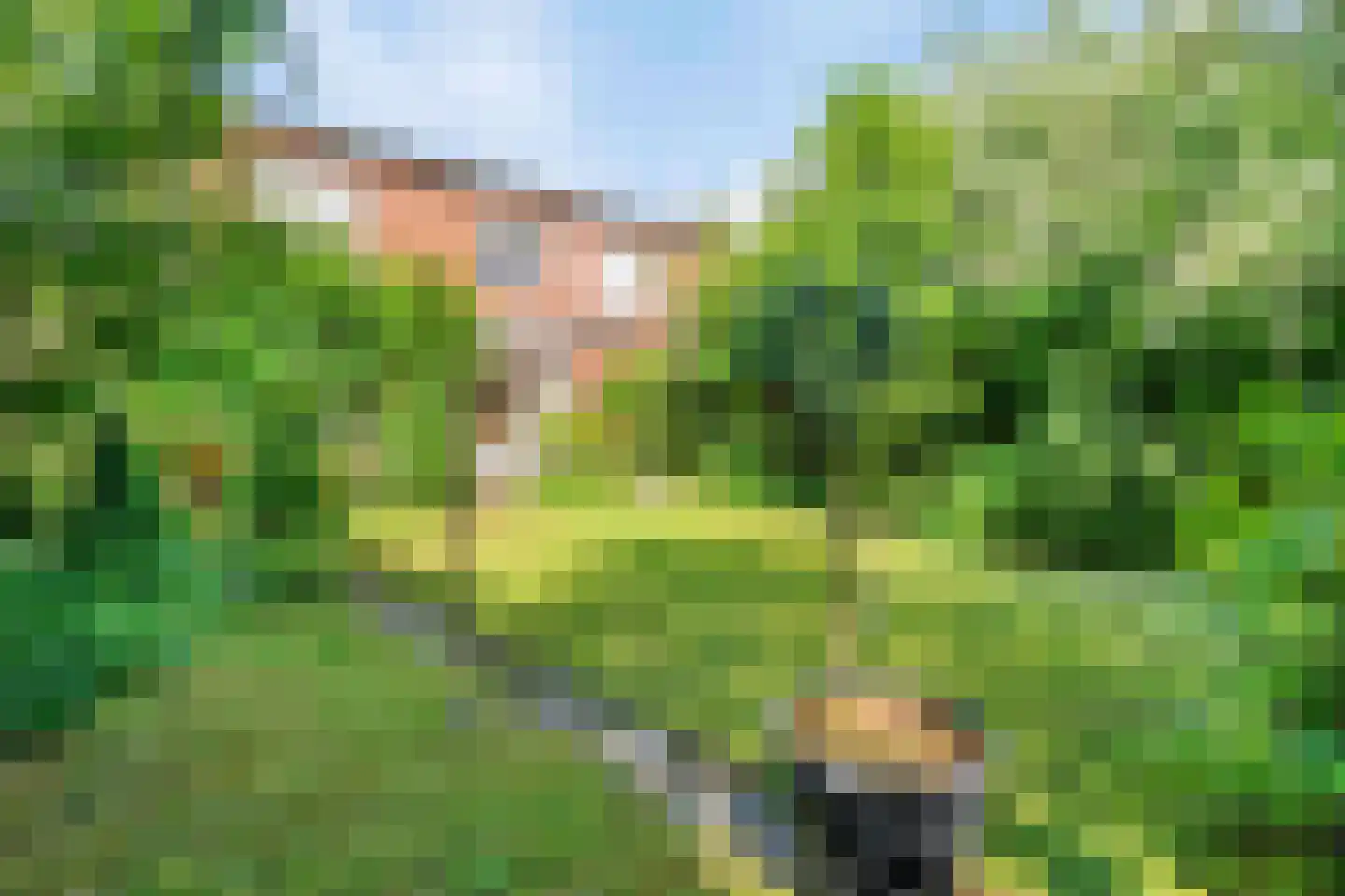 Lindenlaan 56 Bunde thumbnail 14