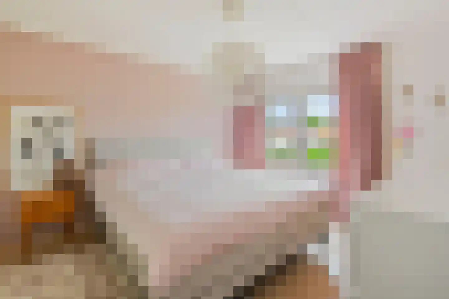 Lindenlaan 56 Bunde thumbnail 15