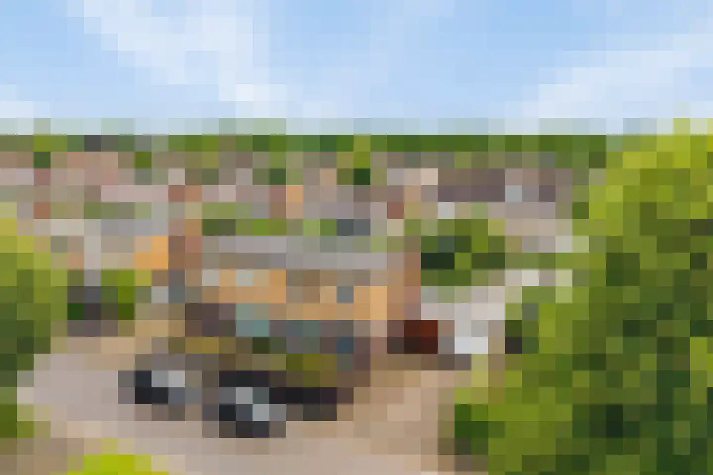 Lindenlaan 56 Bunde thumbnail 23