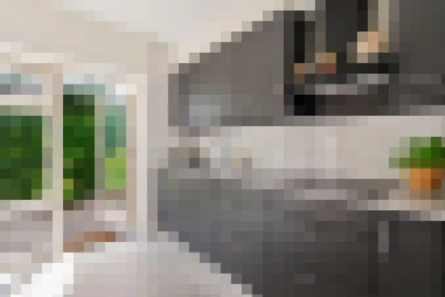 Lindenlaan 56 Bunde thumbnail 9