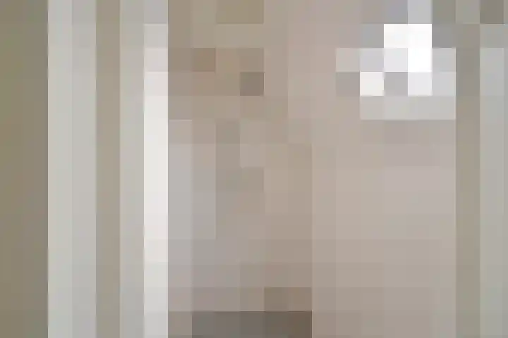 Lindenlaan 56 d Huizen thumbnail 20