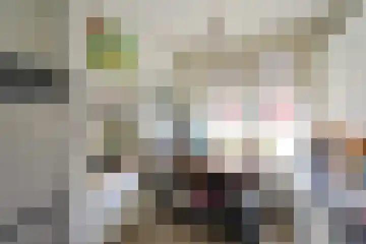 Lindenlaan 56 d Huizen thumbnail 4