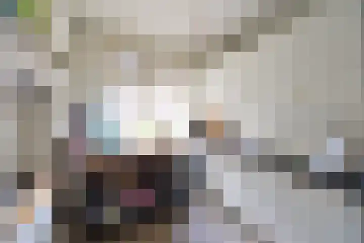 Lindenlaan 56 d Huizen thumbnail 6
