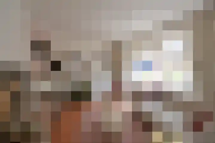 Lindenlaan 56 d Huizen thumbnail 7